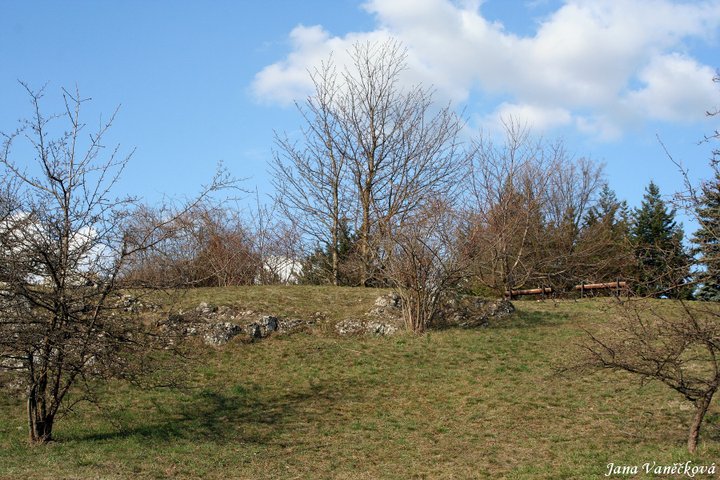 Příroda 001
