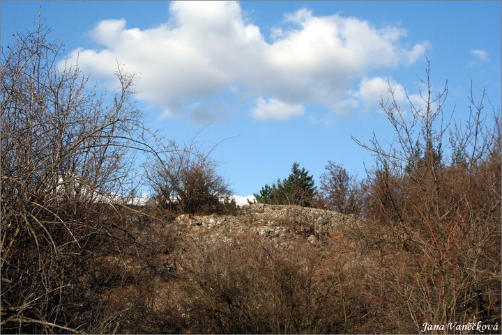 Příroda 002