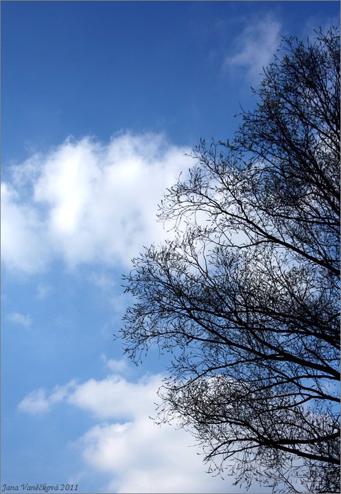 Příroda 025
