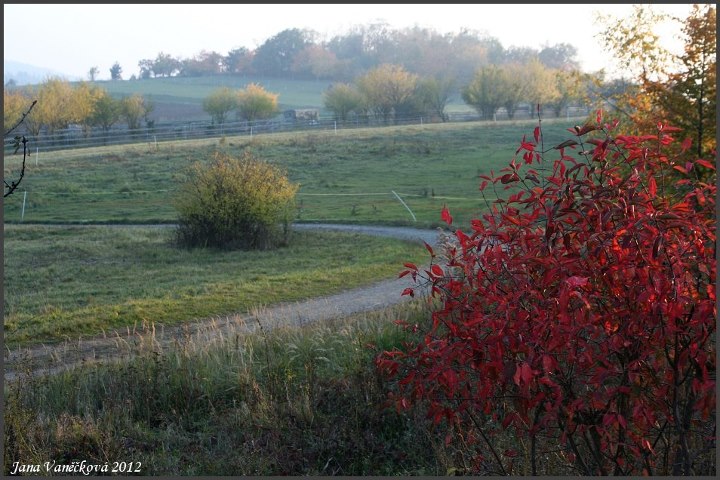 Galerie-příroda 028